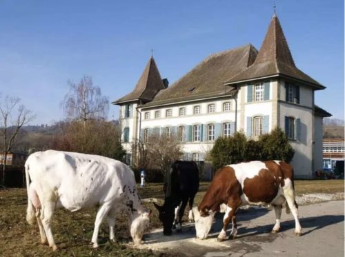 PROJET : Château de Granges Verney