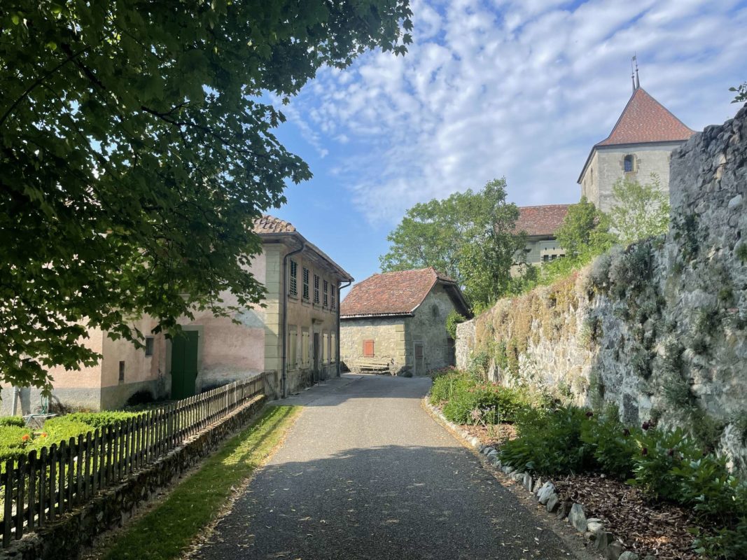 PROJET : Restauration de la Maison Rose de Rue