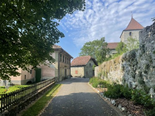 PROJET : Restauration de la Maison Rose de Rue